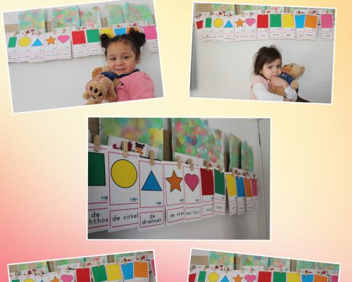 305b6e32-cb08-4f9a-8e47-1539982e0ea3